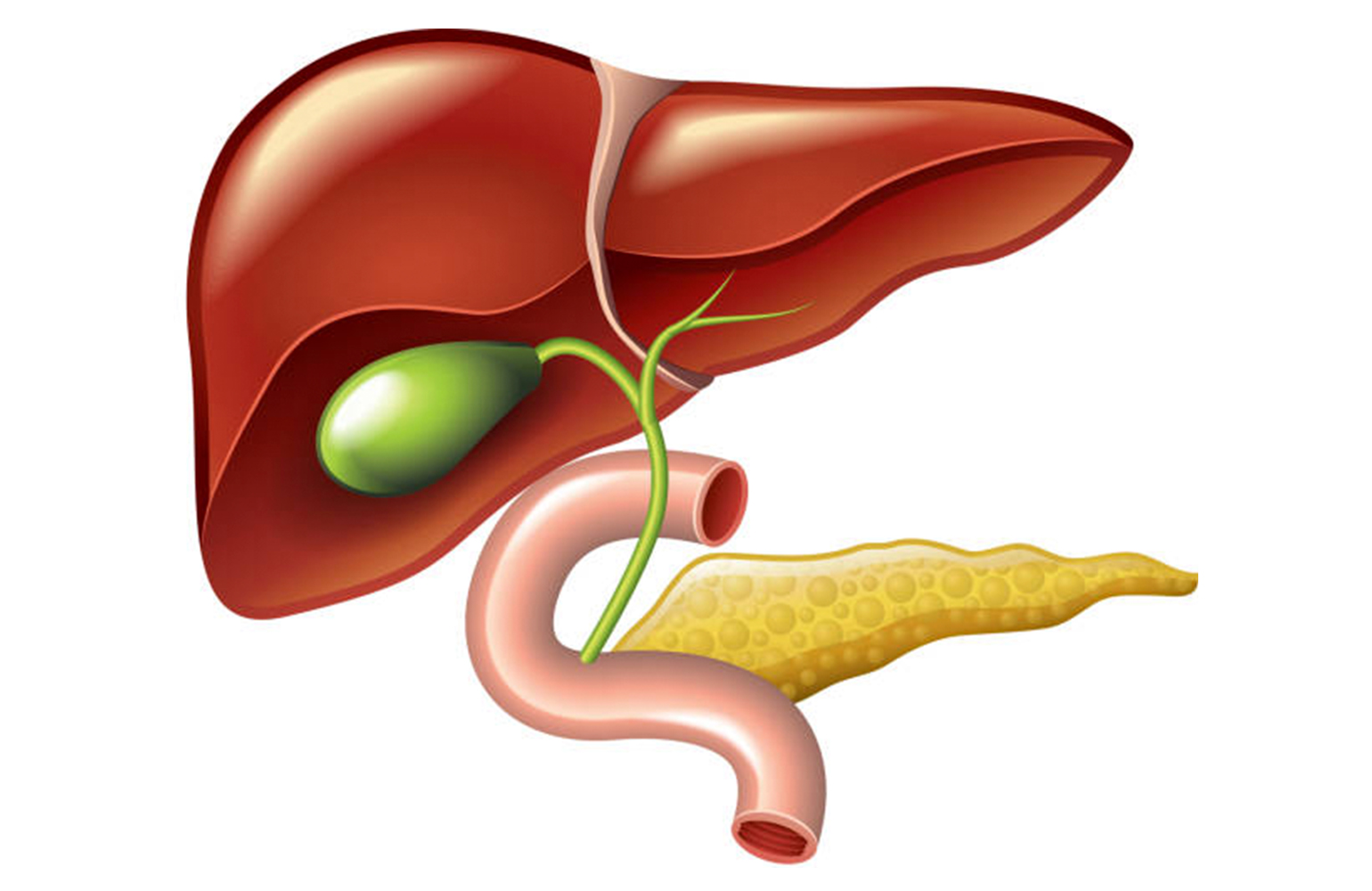 Gallbladder Cancer